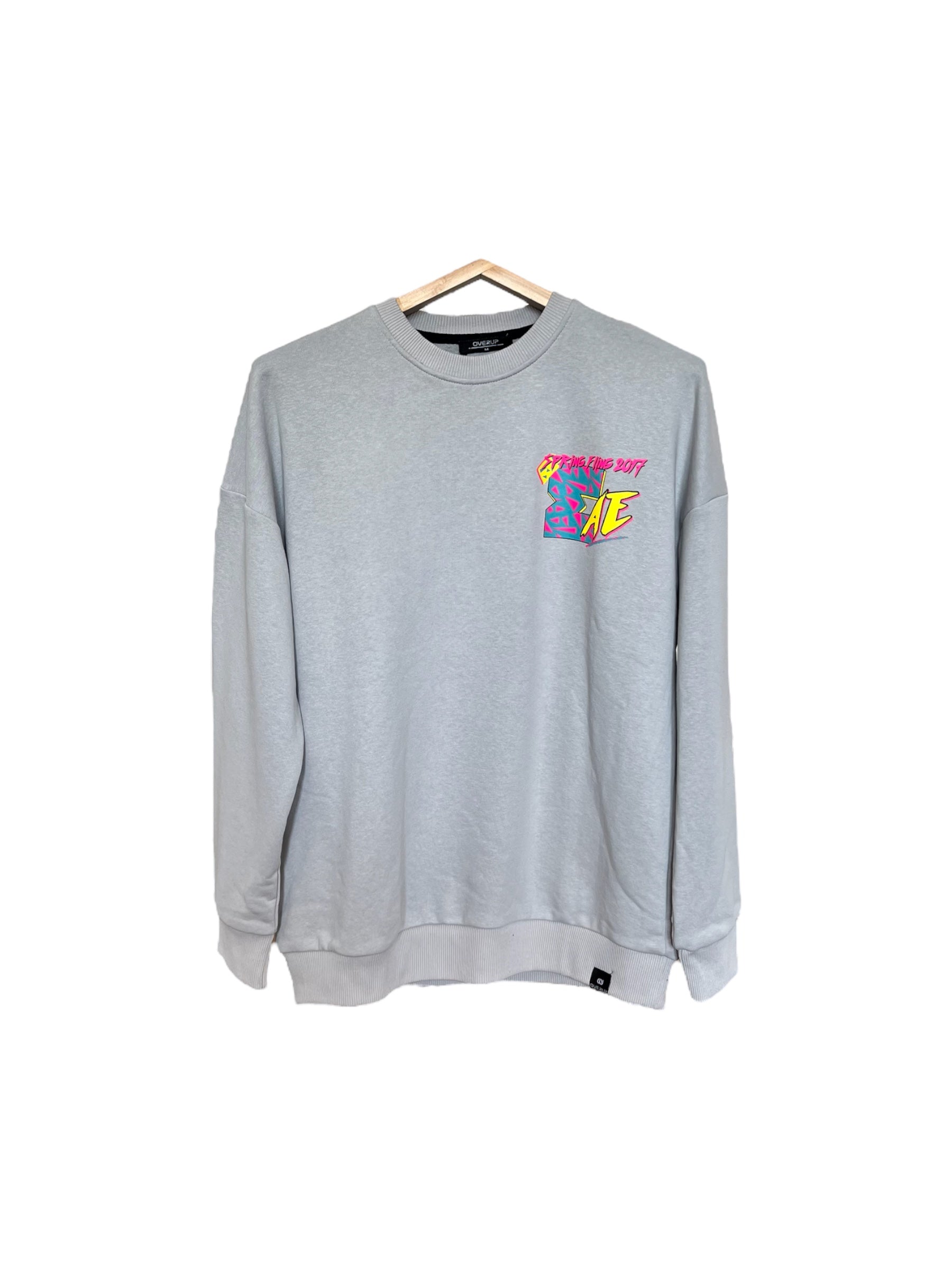 AE printed sweatshirt i grå